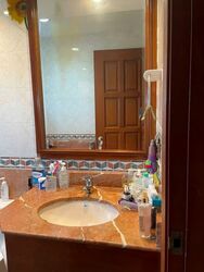 Simsville (D14), Condominium #551193121